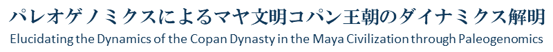 パレオゲノミクスによるマヤ文明コパン王朝のダイナミクス解明